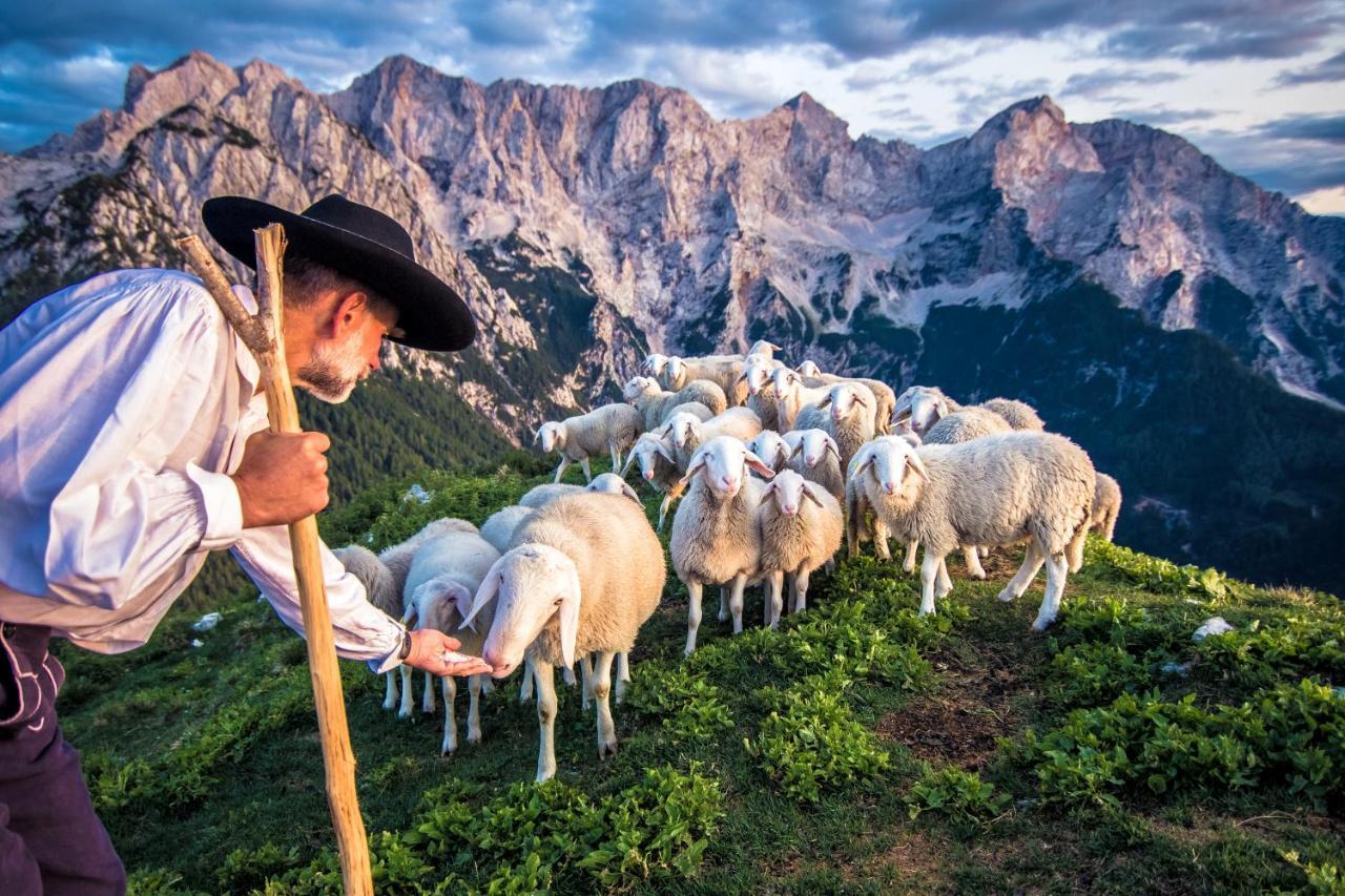 Tourist Farm Senkova Domacija Villa Zgornje Jezersko Eksteriør bilde