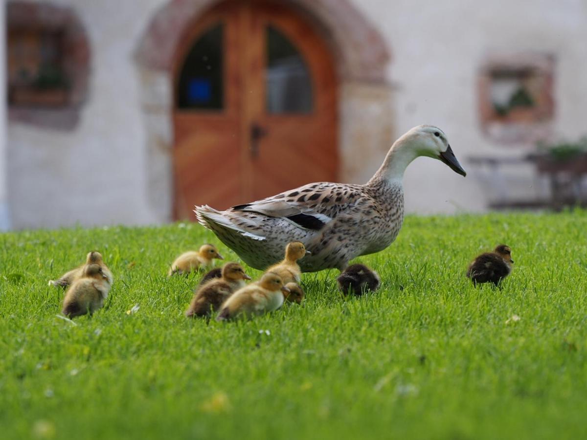 Tourist Farm Senkova Domacija Villa Zgornje Jezersko Eksteriør bilde